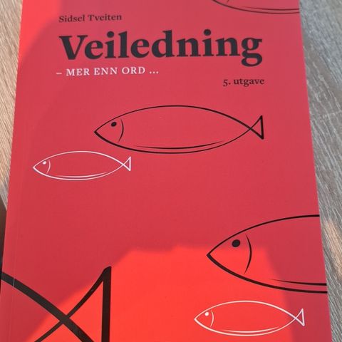 Veiledning - mer enn ord