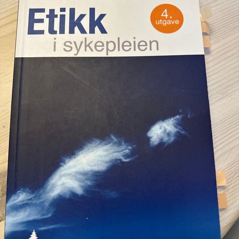 Etikk i sykepleien (4.utg, 2017)