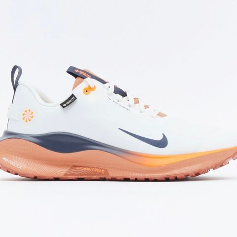 NIKE PERFORMANCE REACT X INFINITY RUN 4 GTX