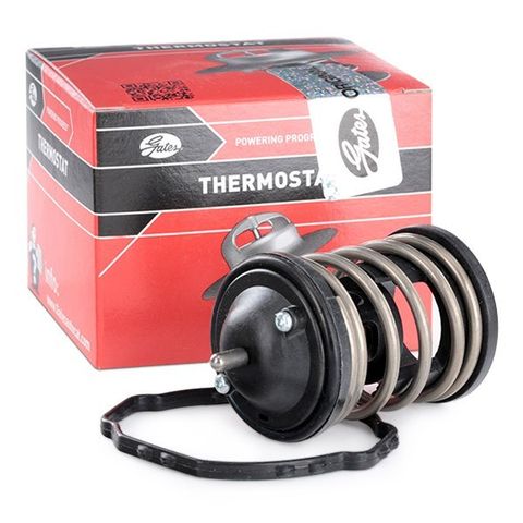 BMW TERMOSTAT