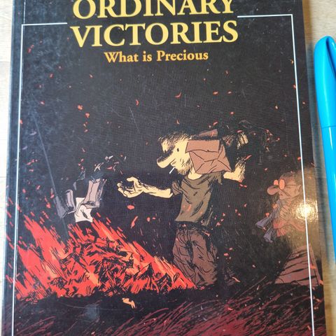 Ordinary Victories.    What is Precious.   Manu Larcent. NBM