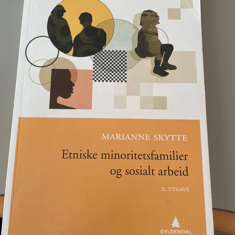 Etiske minoritetsfamilier og sosialt arbeid