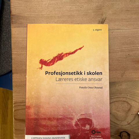 Profesjonsetikk i skolen