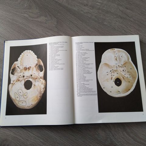 A colour Atlas of human anatomy by McMinn & Hutchings