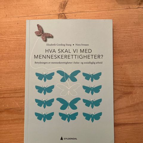 Hva skal vi med menneskerettigheter?