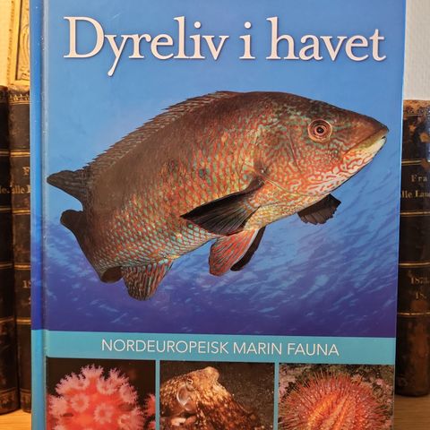 Dyreliv i havet- nordeuropeisk marin fauna