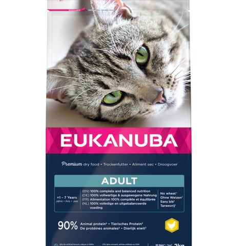 Eukanuba adult katt