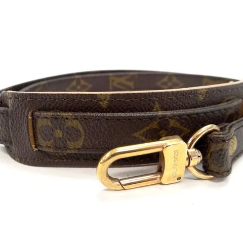 LOUIS VUITTON Monogram crossbody stropp