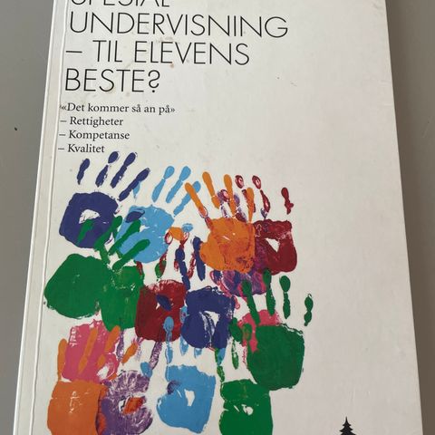 Spesialundervisning - til elevens beste?