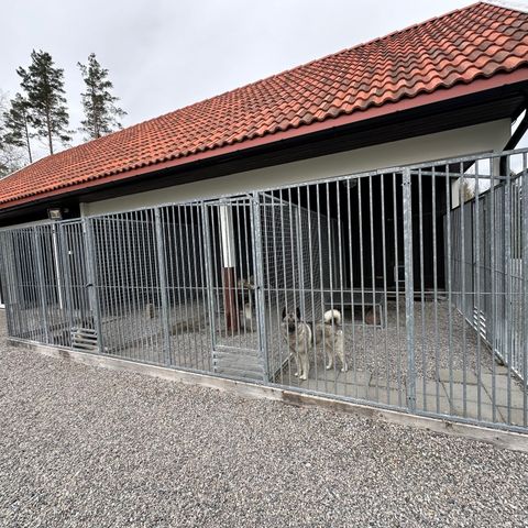 Hundegård Benor spil 6Ø 8,64m2