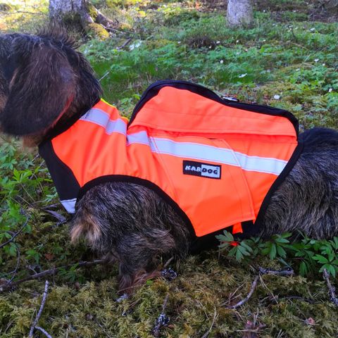 Kardog Inari GPS-Vest til hund