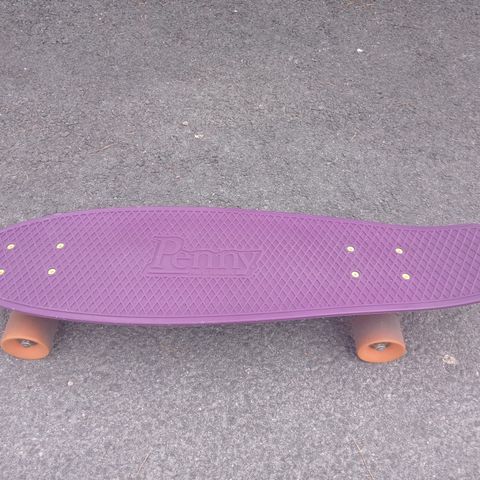 Skateboard Penny Board