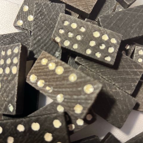 47 dominobrikker