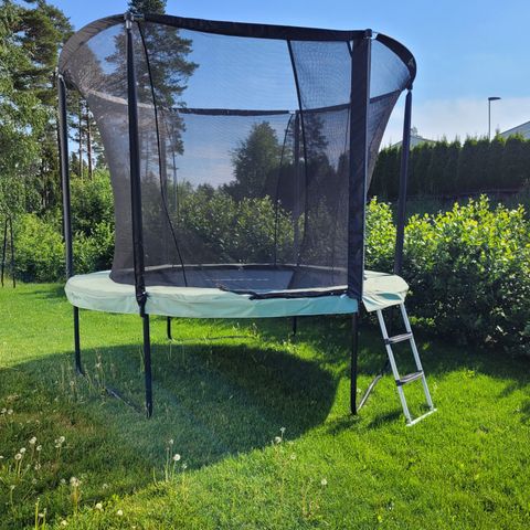 North Trampoline Pioneer -3m rund