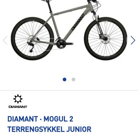 Diamant-Mogul 2,terrengsykkel junior