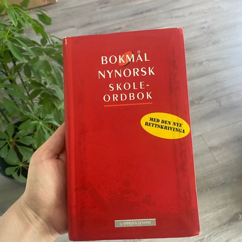 Nynorsk ordbok