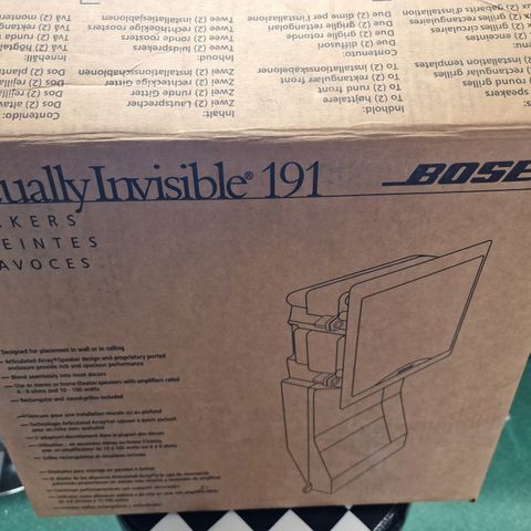 Bose Virtually Invisible 191