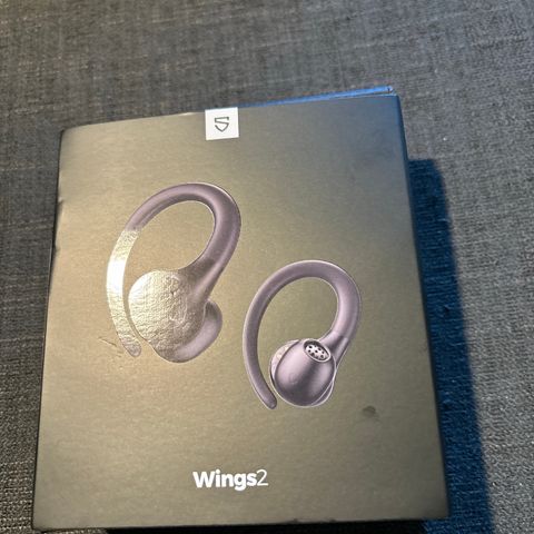Wings 2 Earbuds