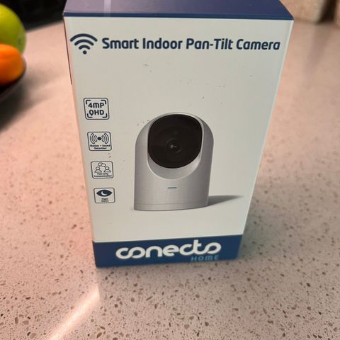 Smart Indoor Pan-tilt Camera