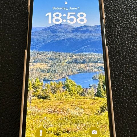 iPhone 12 PRO 256 GB STRØKEN m/flere deksel