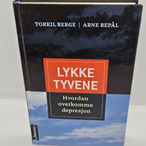 Lykketyvene, hvordan overkomme depresjon - Torkil Berge, Arne Repål