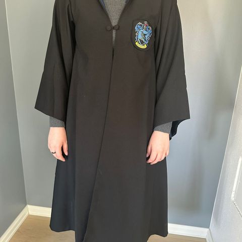 Harry Potter Ravenclaw kappe