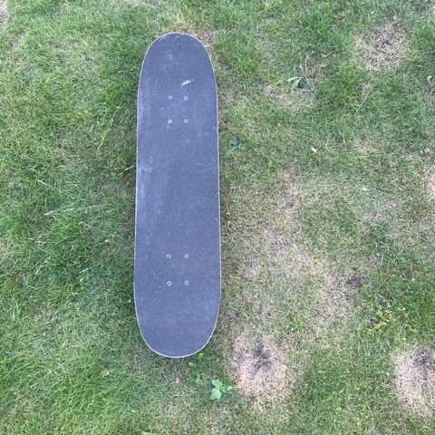 Skateboard