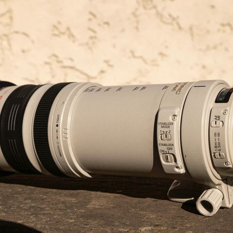 Canon tele EF 100-400 mm f 4.5 - 5.6 L IS US