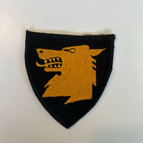 GSV patch