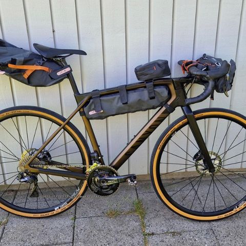 Ortlieb bikeback - leies ut