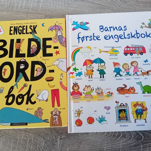 Engelsk bilde ordbok