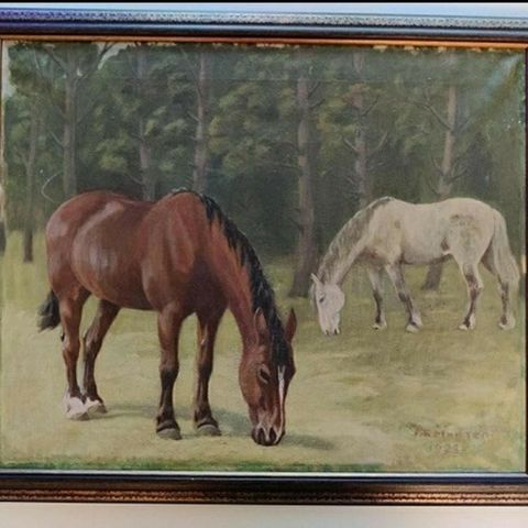 Original maleri fra 1928. Hest bilde.