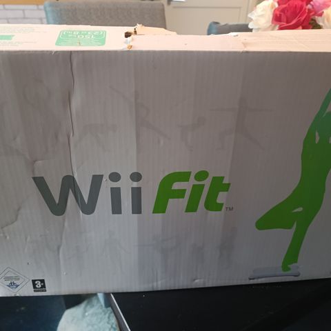 Wii fit