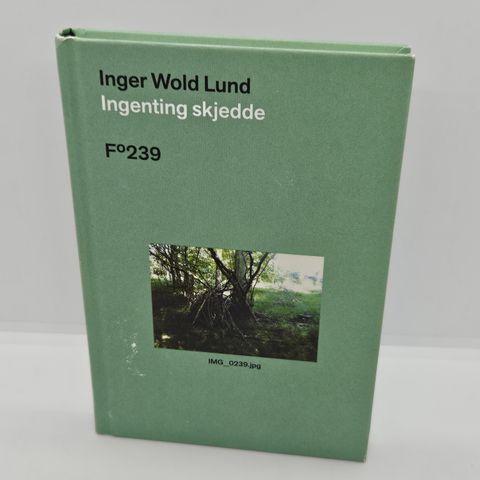 1.opplag. Ingenting skjedde - Inger Wold Lund