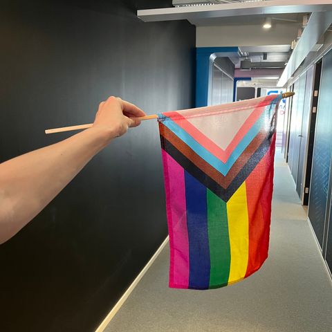 Håndflagg Pride