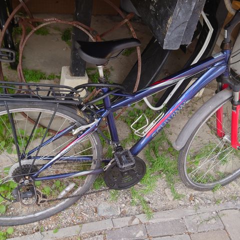 Schwinn Adult Male Bike