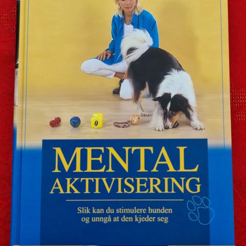 Mental Aktivisering av Hund. Som ny