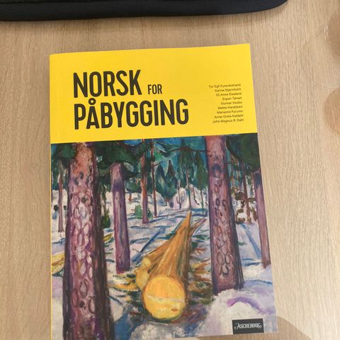 Norsk påbyggbok