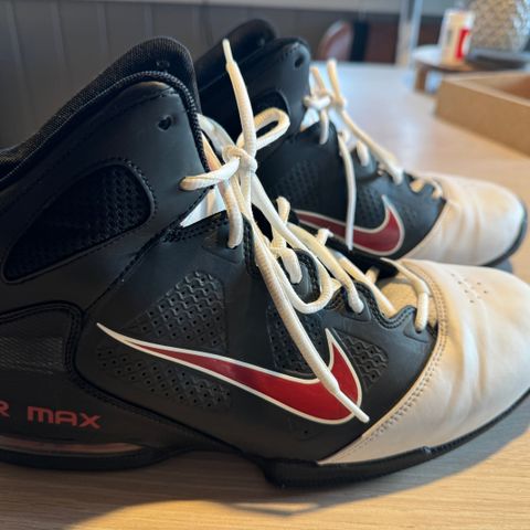 Nike Air Max Full Court 2, 45