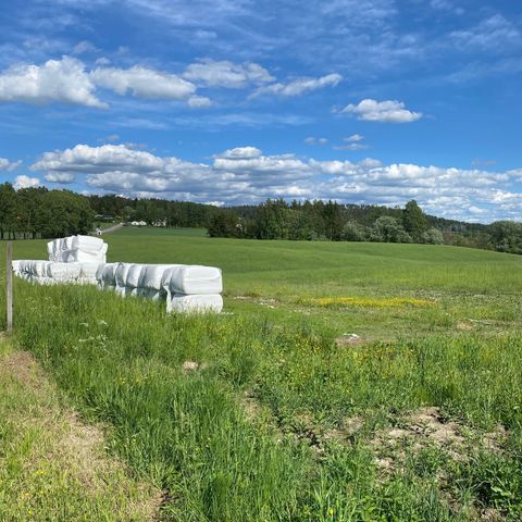 Høy ensilage TS 70%