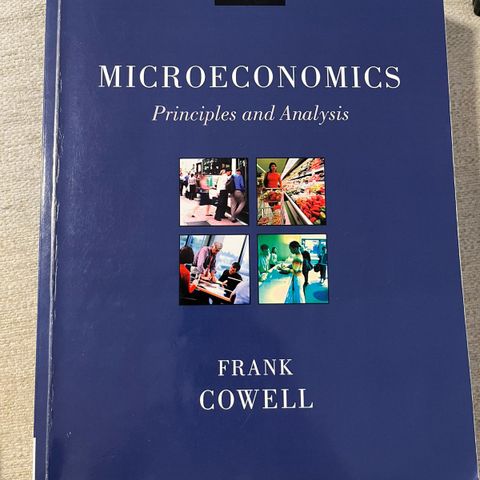 Microeconomics principles and analysis (samfunnsøkonomi)