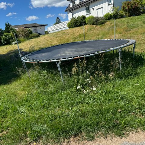 Trampoline