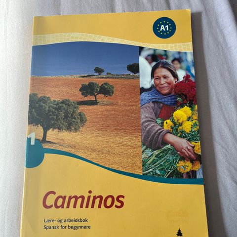 Caminos 1 - lære- og arbeidsbok