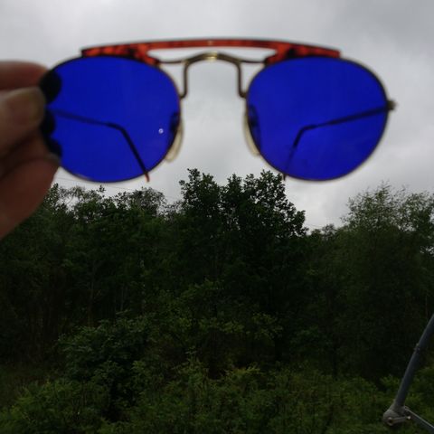 Gull skilpadde solbrille med Blått glass