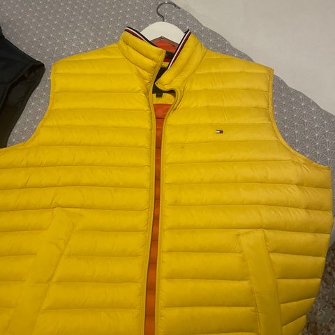 Vest