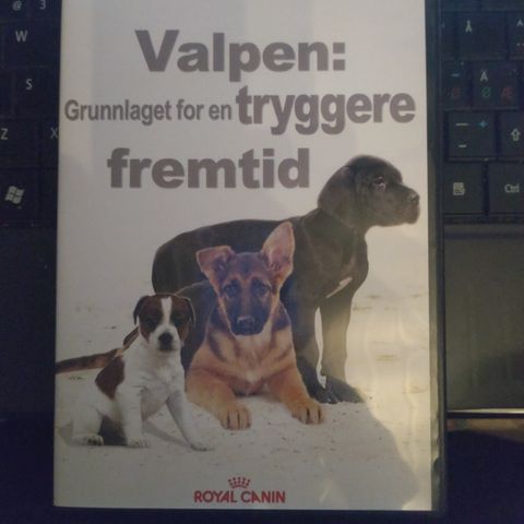 Valpen Grunnlaget For En Tryggere Fremtid