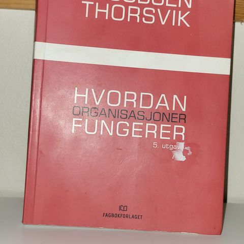 Jacobsen Thorvik hvordan organisasjoner fungerer