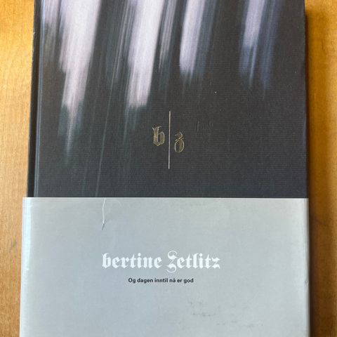 Bertine Zetlitz debutbok: Og dagen inntil nå er god. År 2000