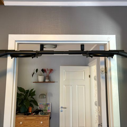 Pull up bar, door mount