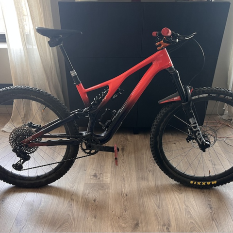 2019 Custom Specialized Stumpjumper size medium